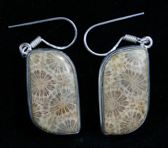 Beautiful Fossil Coral Earrings #7677
